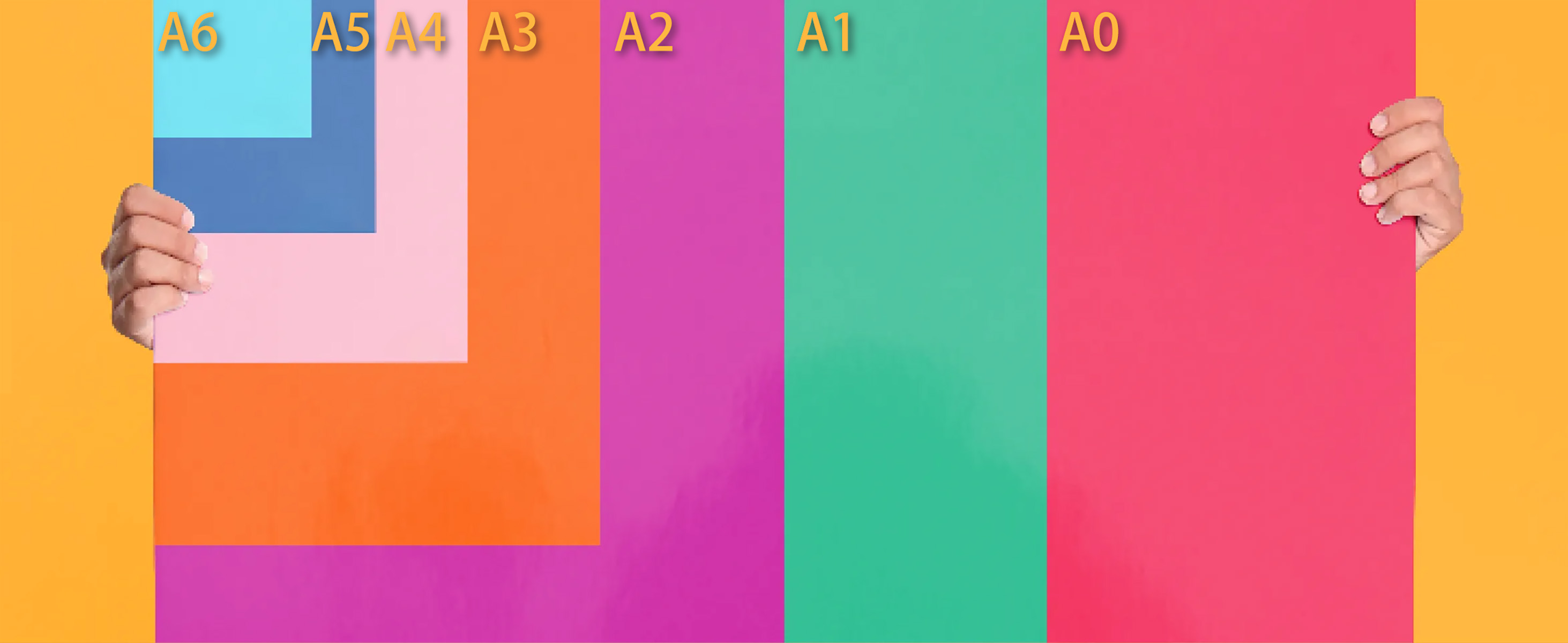 a6 and a5 and a4 and a3 and a2 and a1 and a0 paper sizes